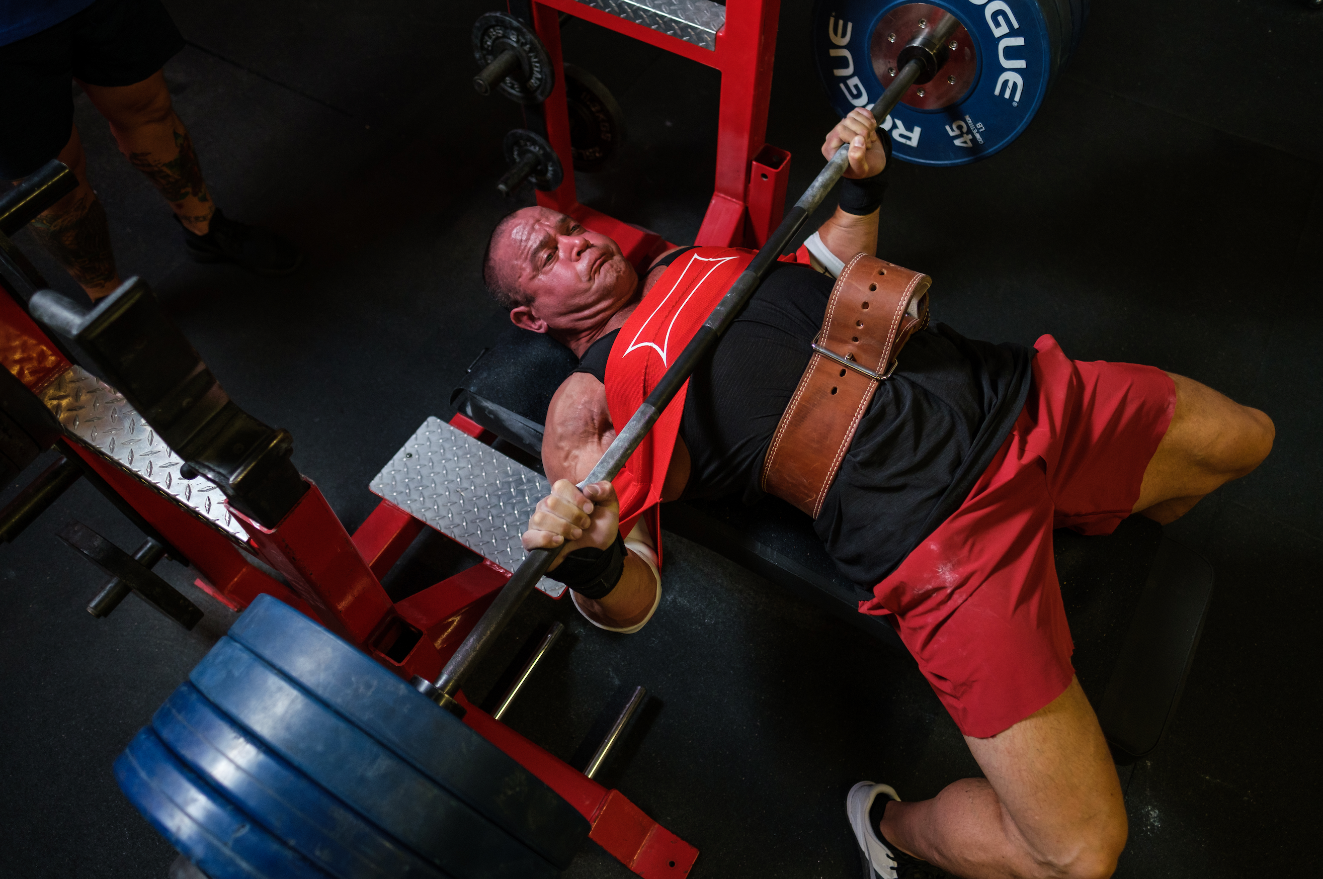 Mark Bell Sling Shot  The #1 Powerlifting & Weight Training Store