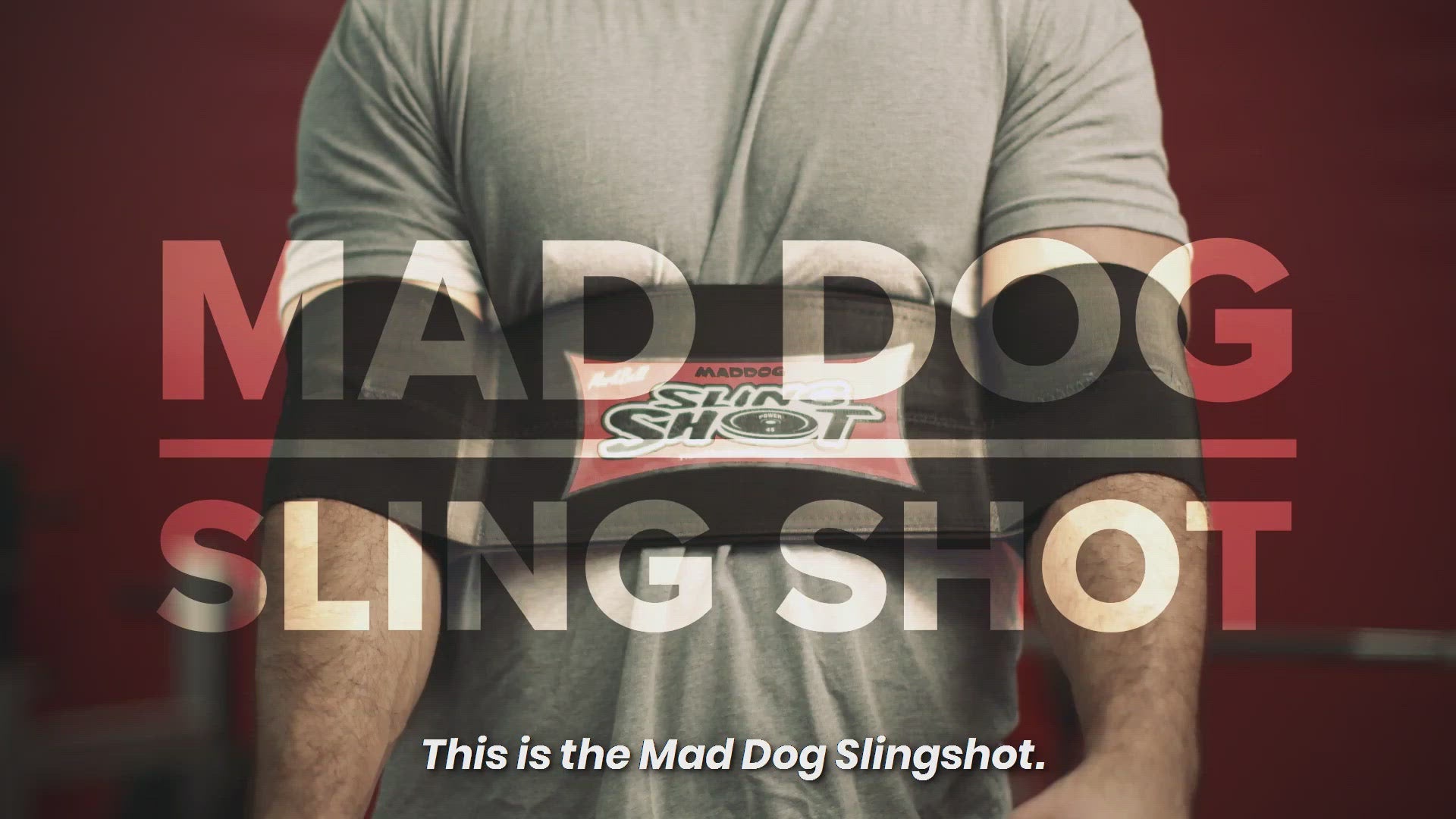 Maddog Sling Shot® – Mark Bell Sling Shot®