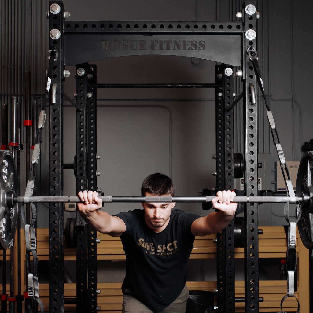 Rogue fitness pulley online system